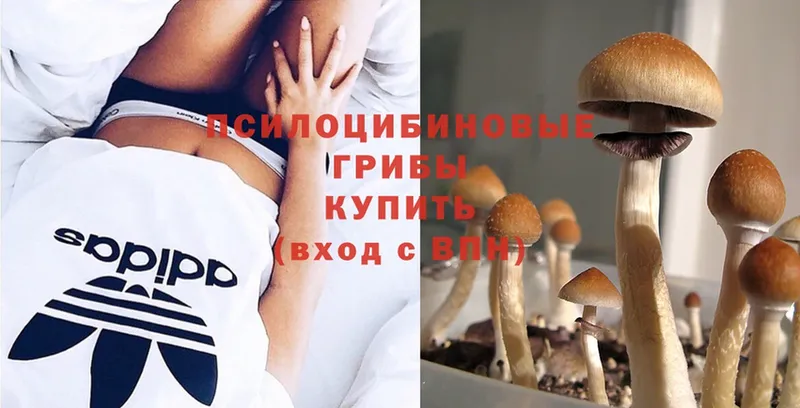 маркетплейс какой сайт  Челябинск  Псилоцибиновые грибы Cubensis 